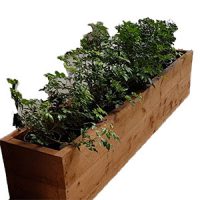 For a rustic vibe, it's hard to go past Sydneywide Hire Group's Planter Box. Great for casual and corporate events our Rustic Hedge Planter Boxes add some life to any scene 
